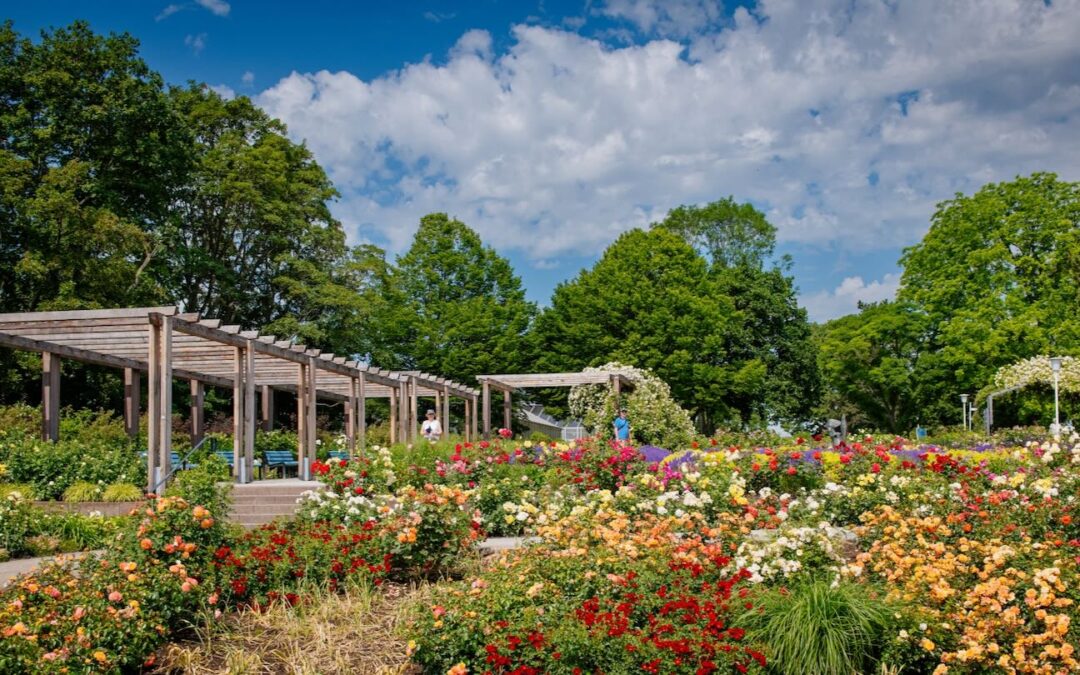 22. – 25.05.25 4 Tage Blütenmeer und Erlebniswelt mitten im Herzen Thüringens